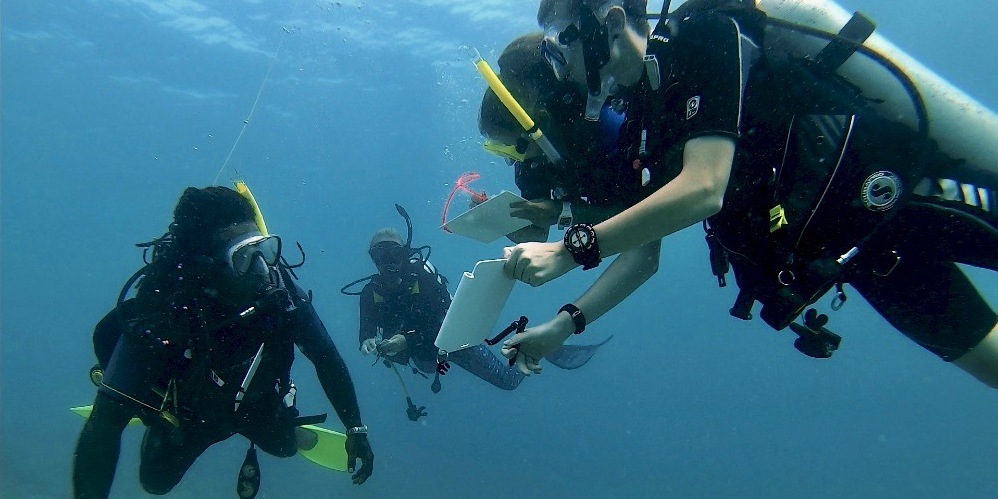 GVI PADI diving Teilnehmer zeichnen Daten unter Wasser auf.