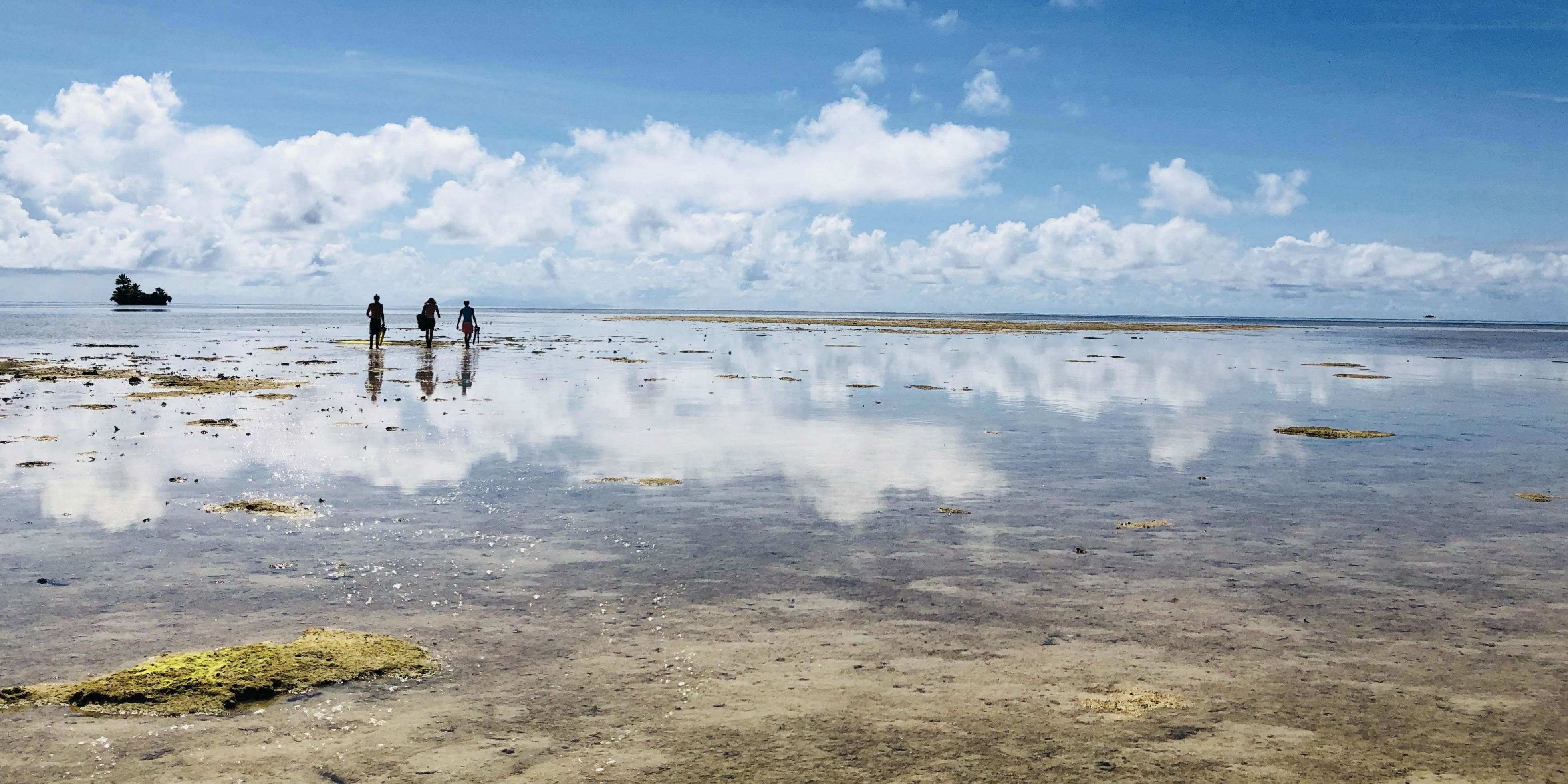  GVI-deltagare går mot havet medan de arbetar för att få sin PADI divemaster.