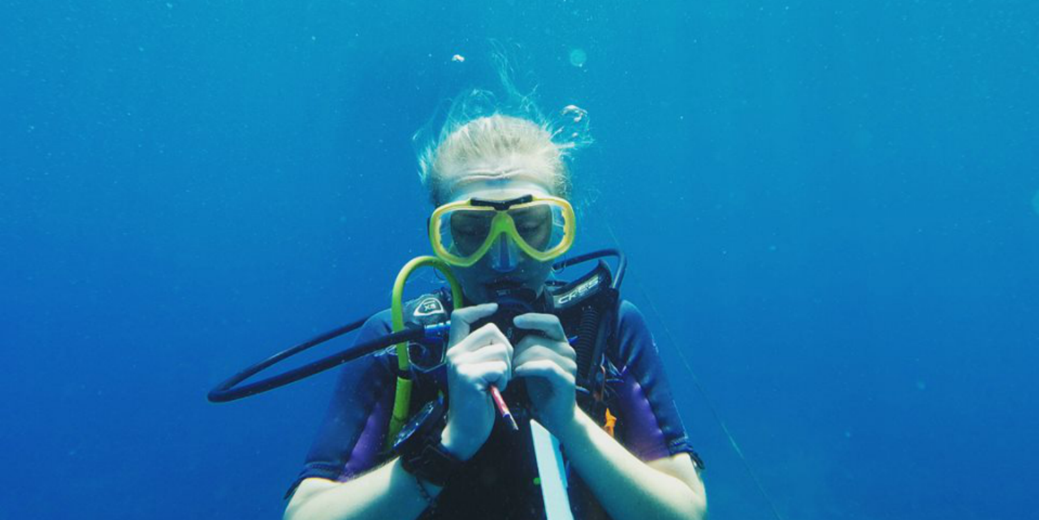 een duiker oefent met een board onder water als onderdeel van zijn PADI-certificeringstraining.