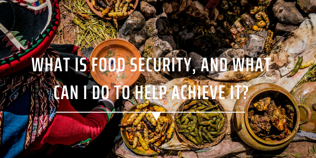 What is food security, and what can I do to help achieve it? GVI IRE